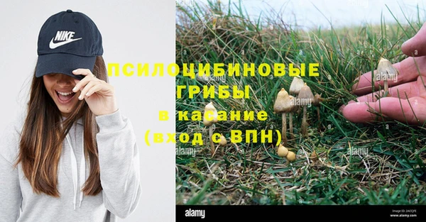ECSTASY Арсеньев