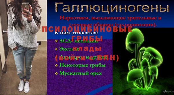 гидра Армянск