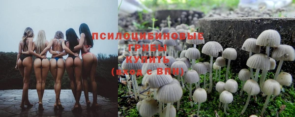 гидра Армянск