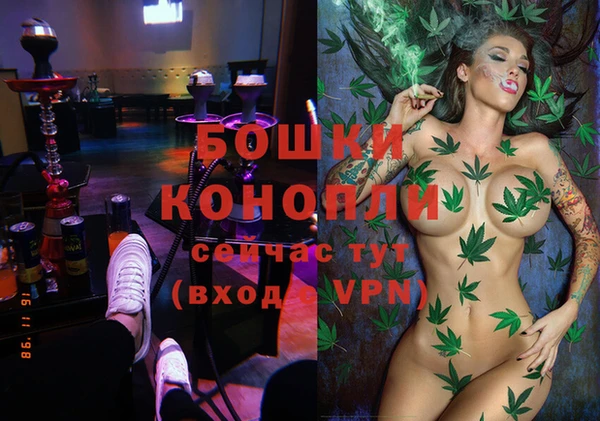 spice Аркадак