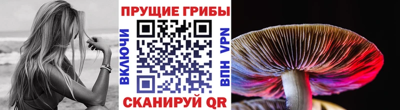 даркнет сайт  Пушкино  Галлюциногенные грибы мухоморы 