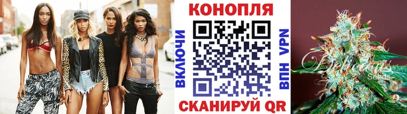 Канабис гибрид  Пушкино 